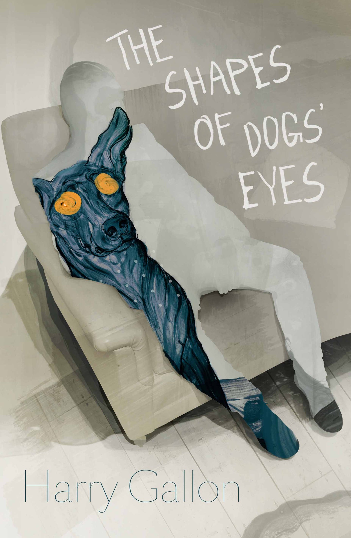 The Shape of Dogs' Eyes — Harry Gallon
