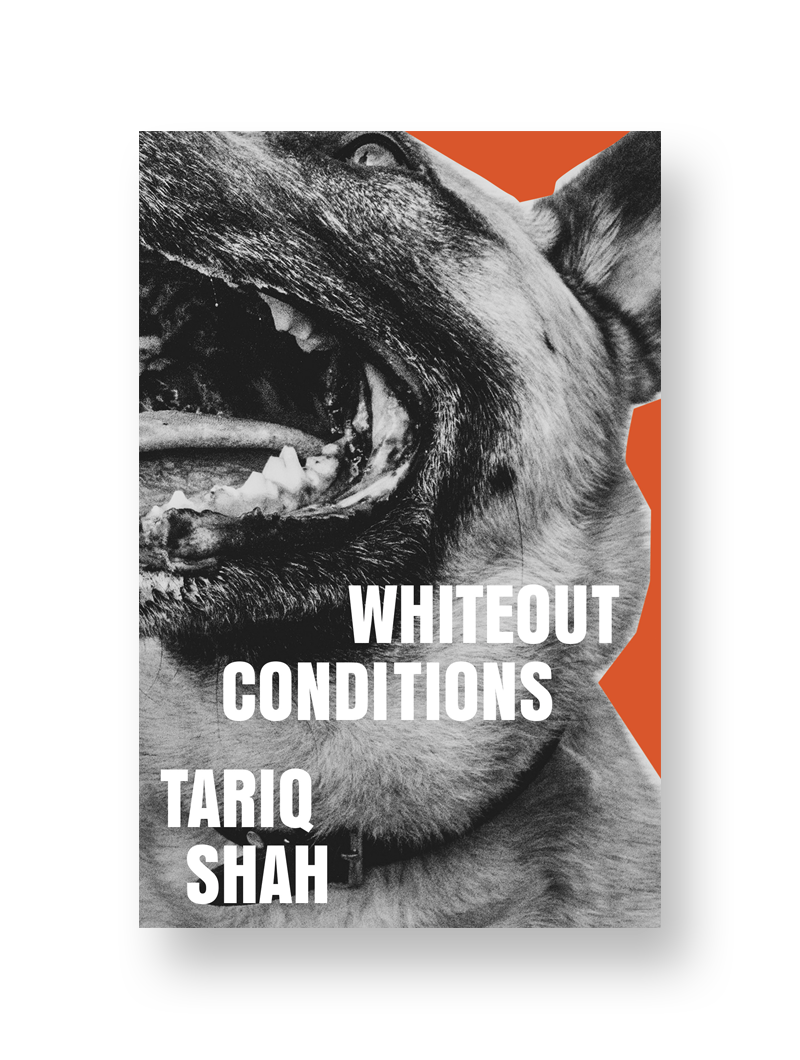 whiteout-conditions-dead-ink-books