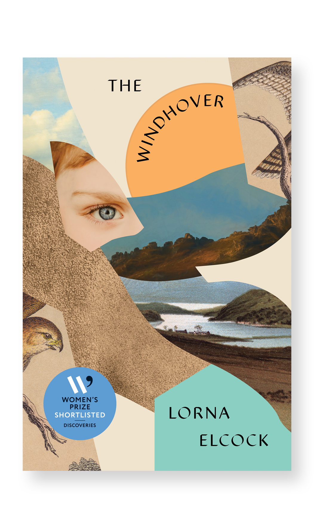 The Windhover The Windhover