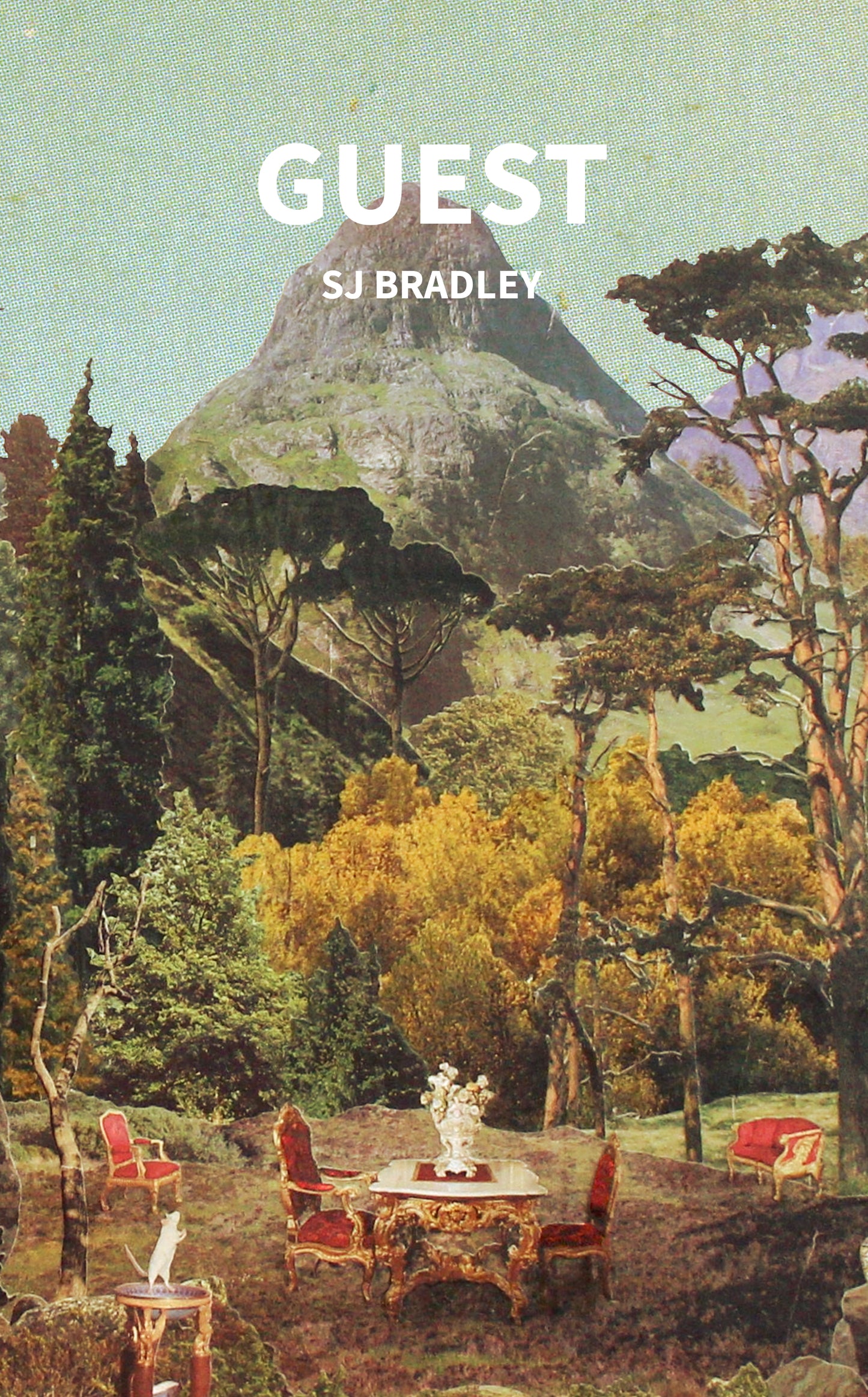 Guest — SJ Bradley (ePub)