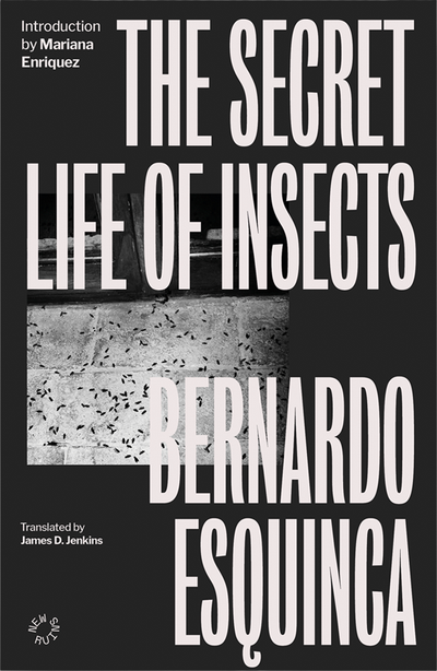 The Secret Life of Insects — Bernardo Esquinca (trans. James D. Jenkins)